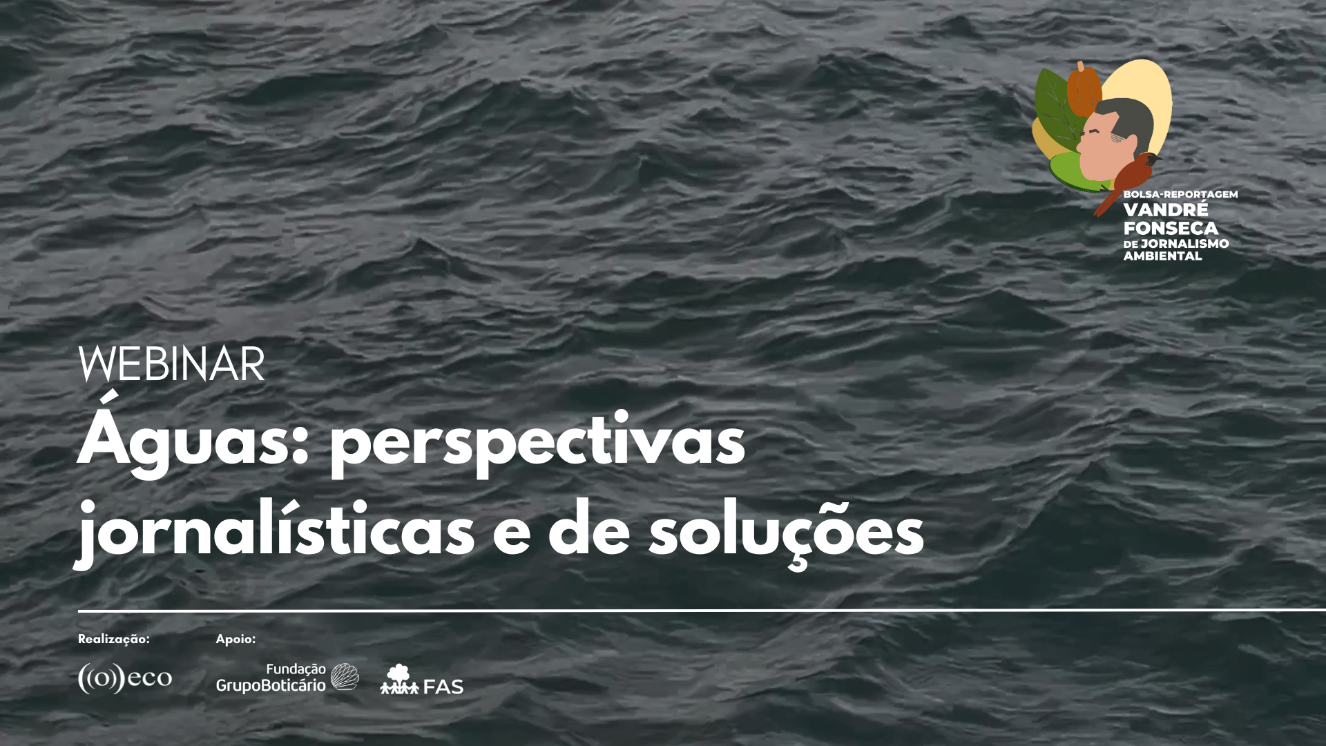 Webinar Águas: perspectivas jornalísticas e de soluções